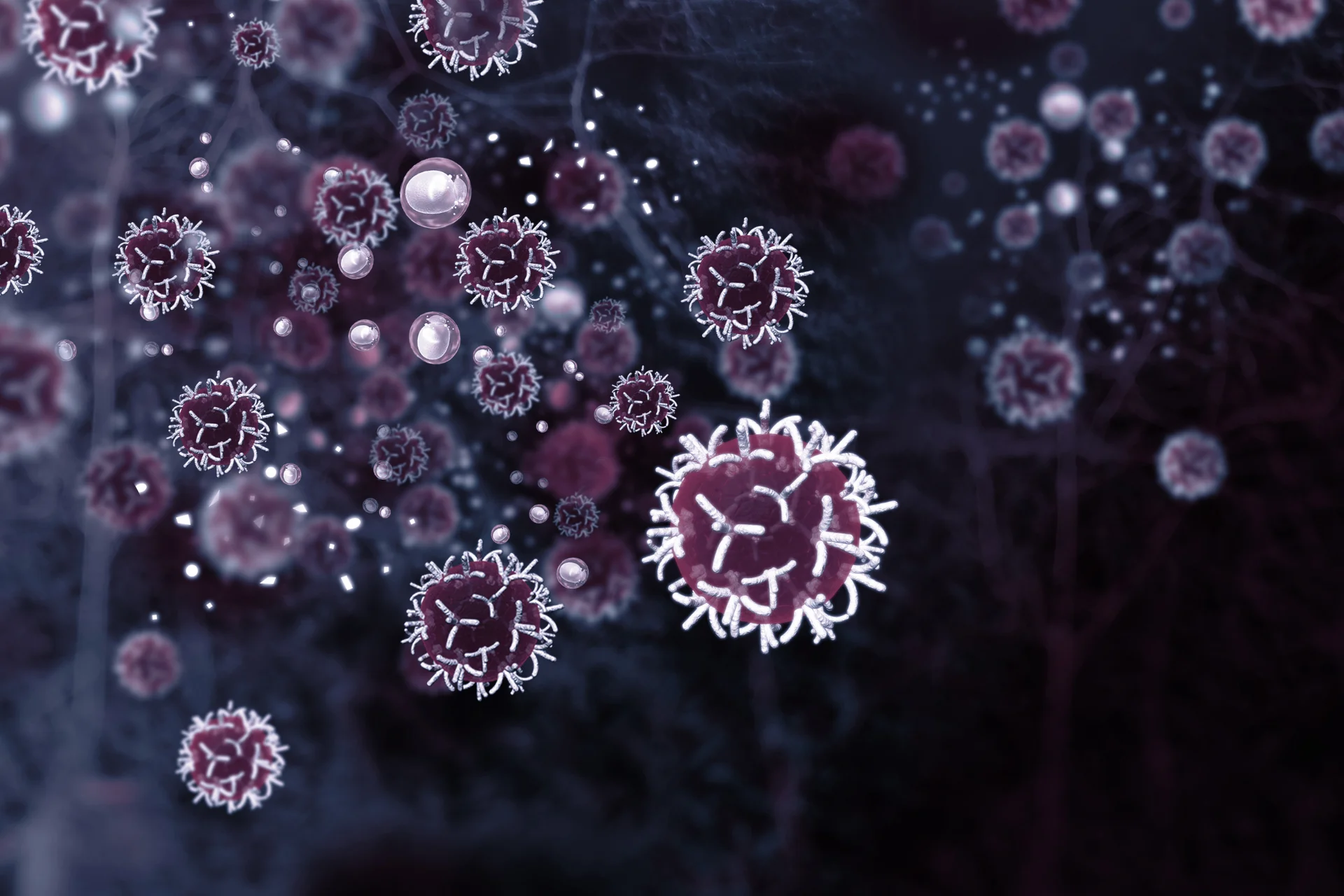 Mesenchymal Stem Cell-img